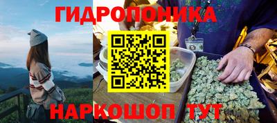 трава Кунгур