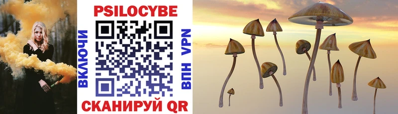 где найти наркотики Тольятти Псилоцибиновые грибы Psilocybe