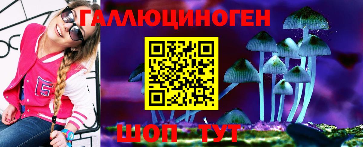 Тольятти  Галлюциногенные грибы мухоморы  Вход с VPN 